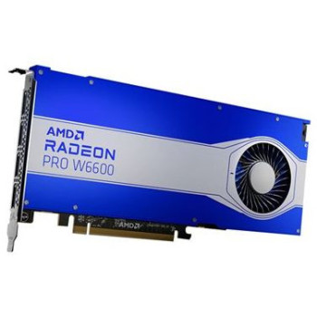 AMD RADEON PRO W6600